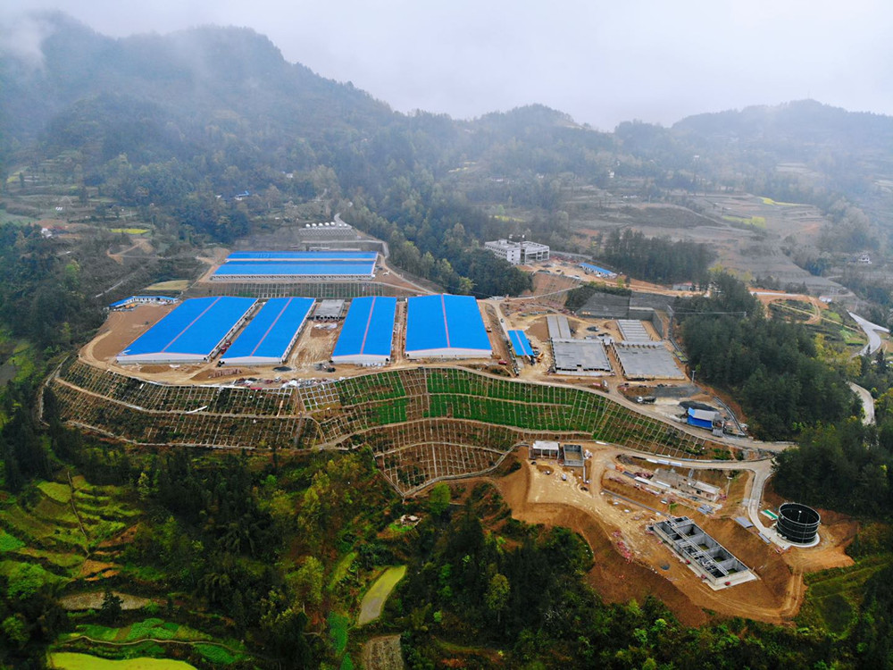 農業(yè)農村部辦公廳 財政部辦公廳 銀保監(jiān)會辦公廳關于開展病死豬無害化處理與保險聯(lián)動機制建設試點工作的通知