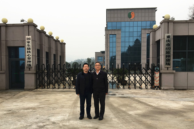 農業(yè)部市場信息司王小兵副司長到69調研