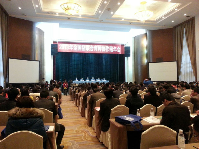我場參加2013年全國豬聯合育種協(xié)作組年會