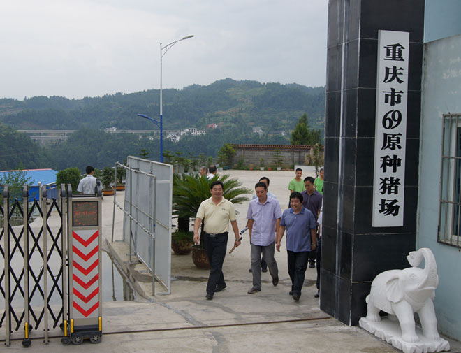國(guó)家鄉(xiāng)村振興局副局長(zhǎng)、原黔江區(qū)委書記洪天云視察重慶69