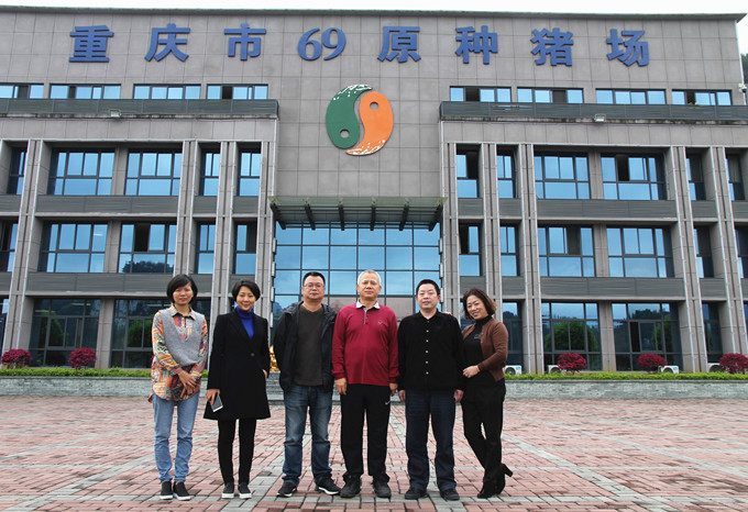 國家生豬產(chǎn)業(yè)技術(shù)體系首席科學(xué)家陳瑤生教授、壹號土豬總裁黎小兵蒞臨69指導(dǎo)交流